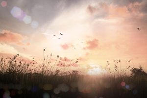 Uitvaartzorg Troostrijk, wandeling na verlies